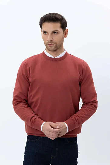 Erkaklar Jemperi AW25BS2-29-20236-E-332066 фото