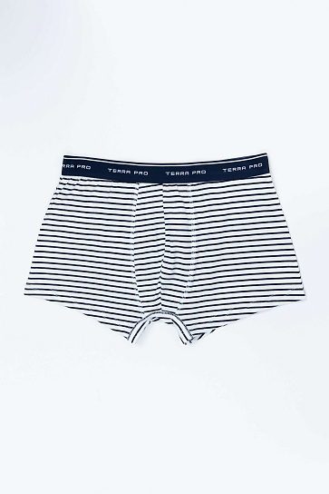 Трусы trunk AW23NS4N-44-19229-147323 фото