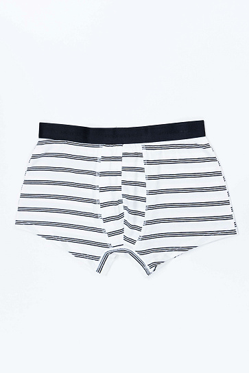 Трусы trunk AW24CR4-44-21165-207552 фото