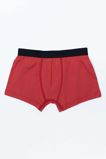 Трусы trunk SS23NS4N-44-18802-197915 фото